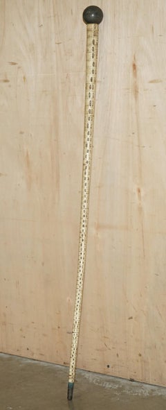 ANTIQUE RARE & HIGHLY COLLECTABLE SHiPS CAPTAINS SHARKS VERTEBRAW WALKING STICK