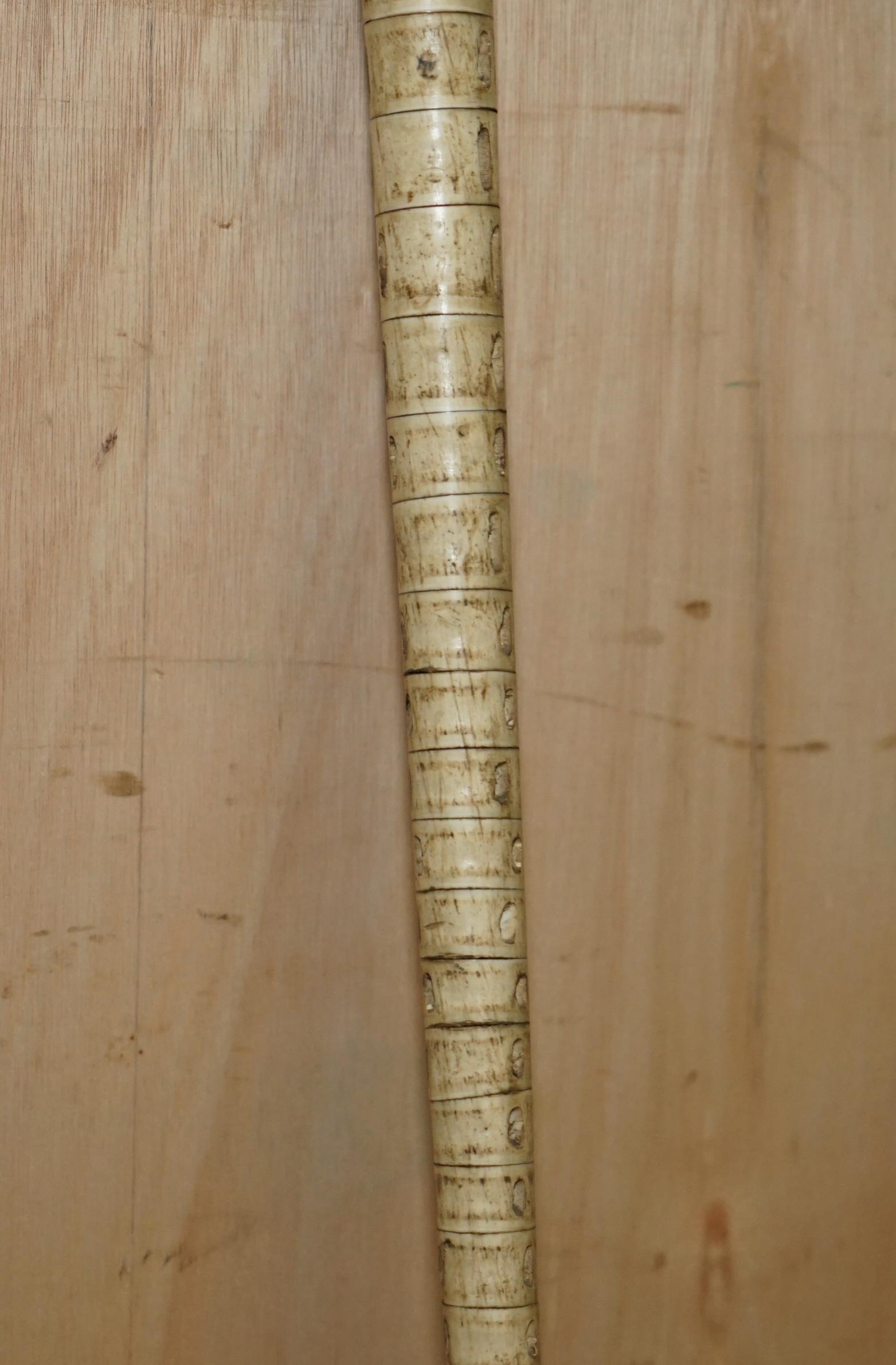 ANTIQUE RARE & HIGHLY COLLECTABLE SHiPS CAPTAINS SHARKS VERTEBRAW WALKING STICK For Sale 1