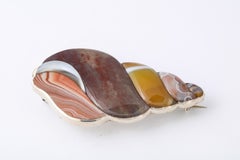 Antique Rare Victorian Scottish Agate Shell Brooch