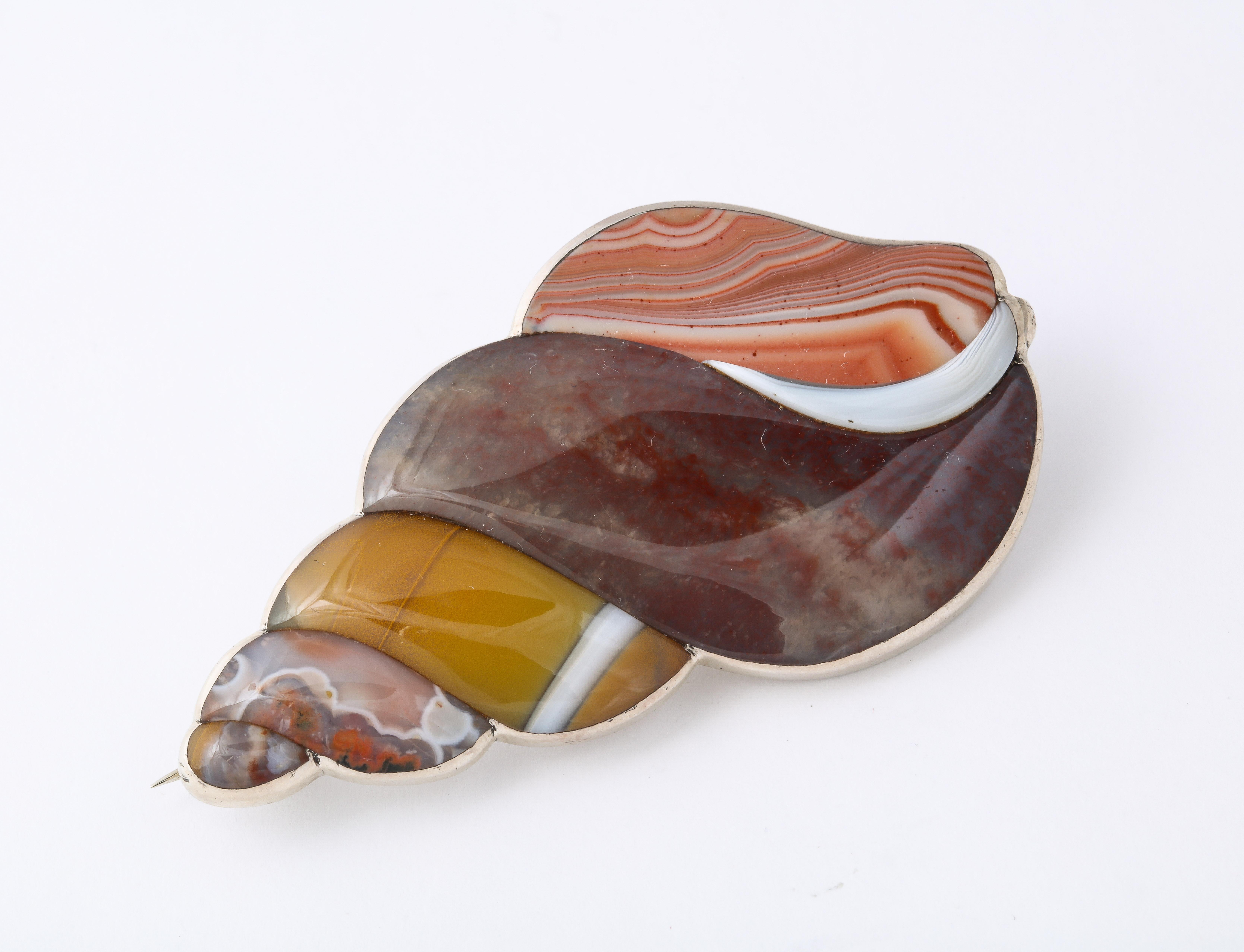 agate shell for sale