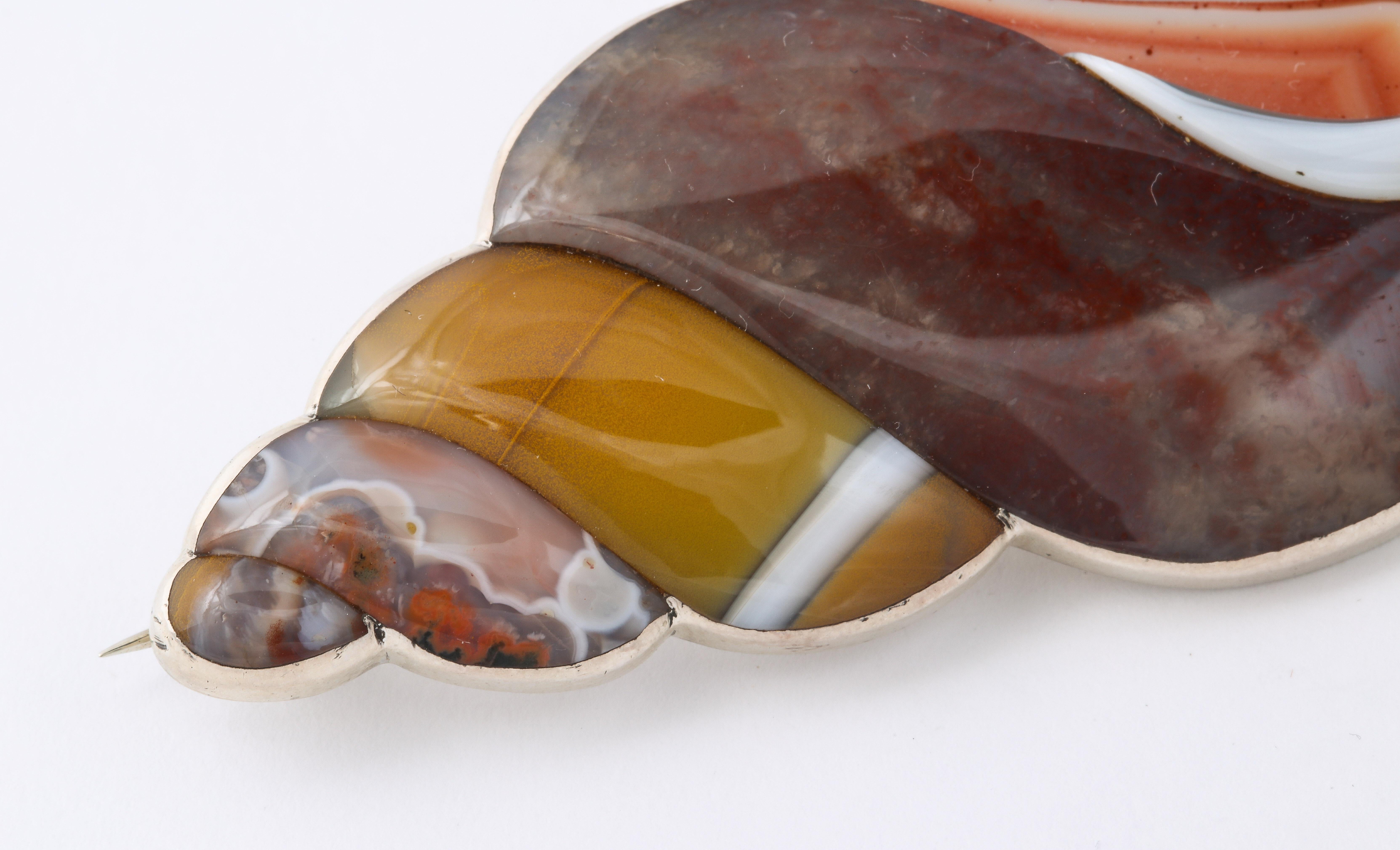 Antique Rare Victorian Scottish Agate Shell Brooch In Excellent Condition In Stamford, CT