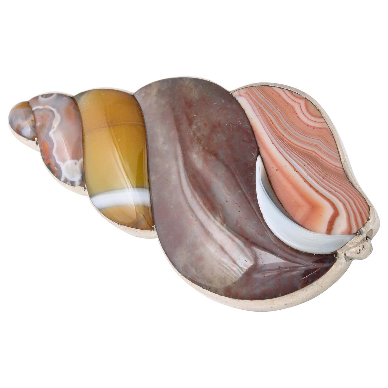 Antique Rare Victorian Scottish Agate Shell Brooch at 1stDibs | agate ...