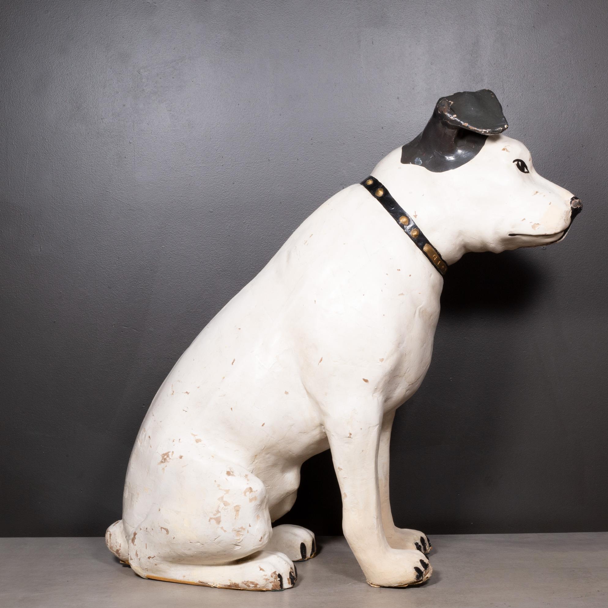 rca dog breed