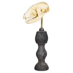 Decorative Art