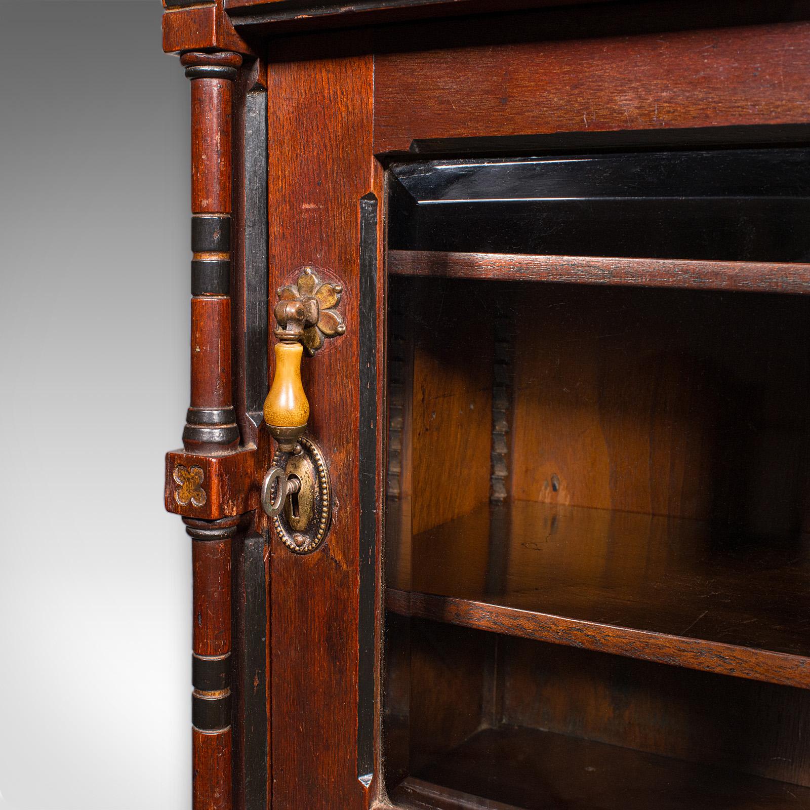Antique Reception Hall Cabinet, English, Cupboard, Aesthetic Period, Victorian For Sale 1