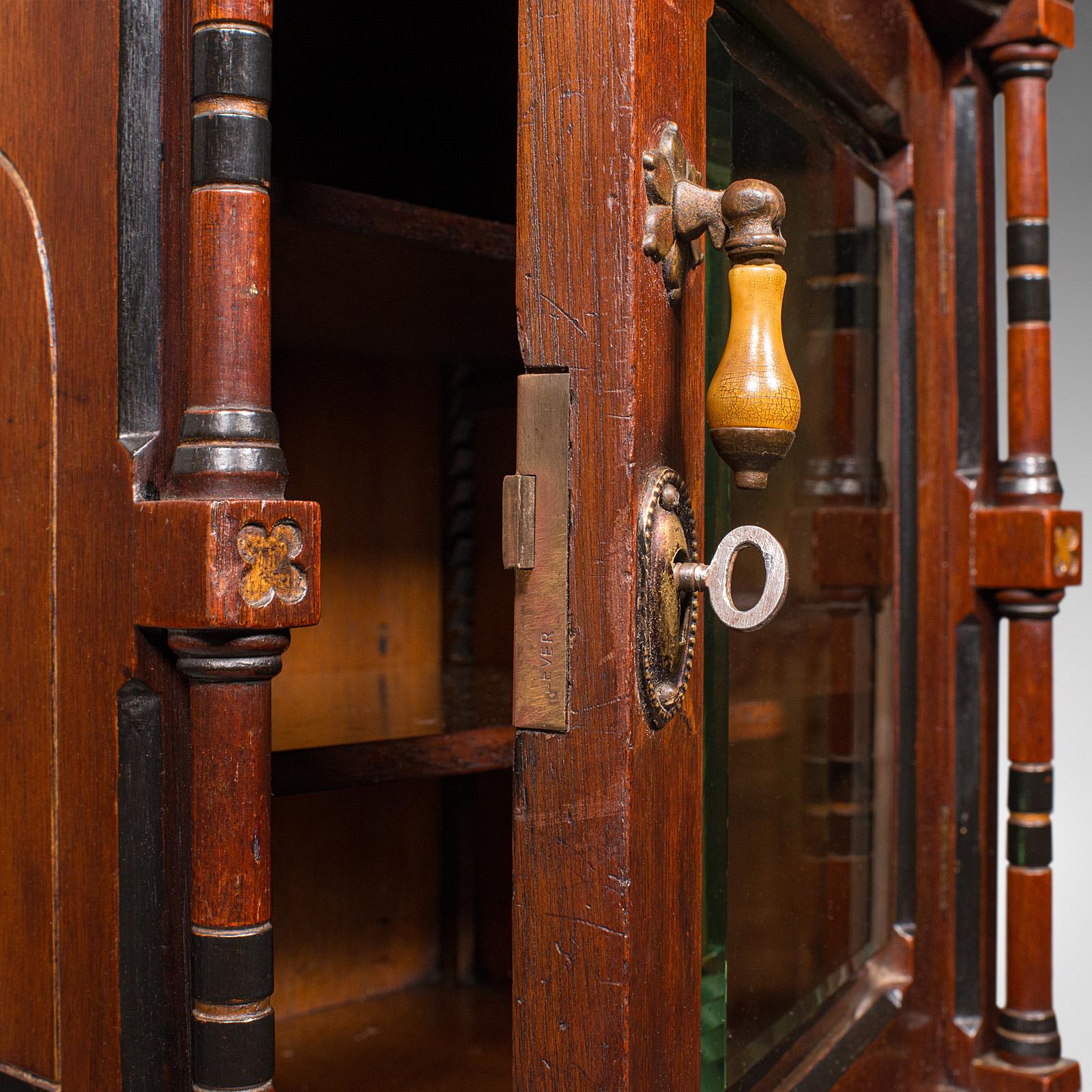 Antique Reception Hall Cabinet, English, Cupboard, Aesthetic Period, Victorian For Sale 2