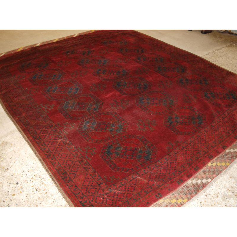 Antique Red Afghan carpet with traditional Ersari design, this carpet has superb colour with a very good deep rich red and a dark charcoal black. The carpet has three rows of six large guls. The carpet retains the original checkerboard kilims at