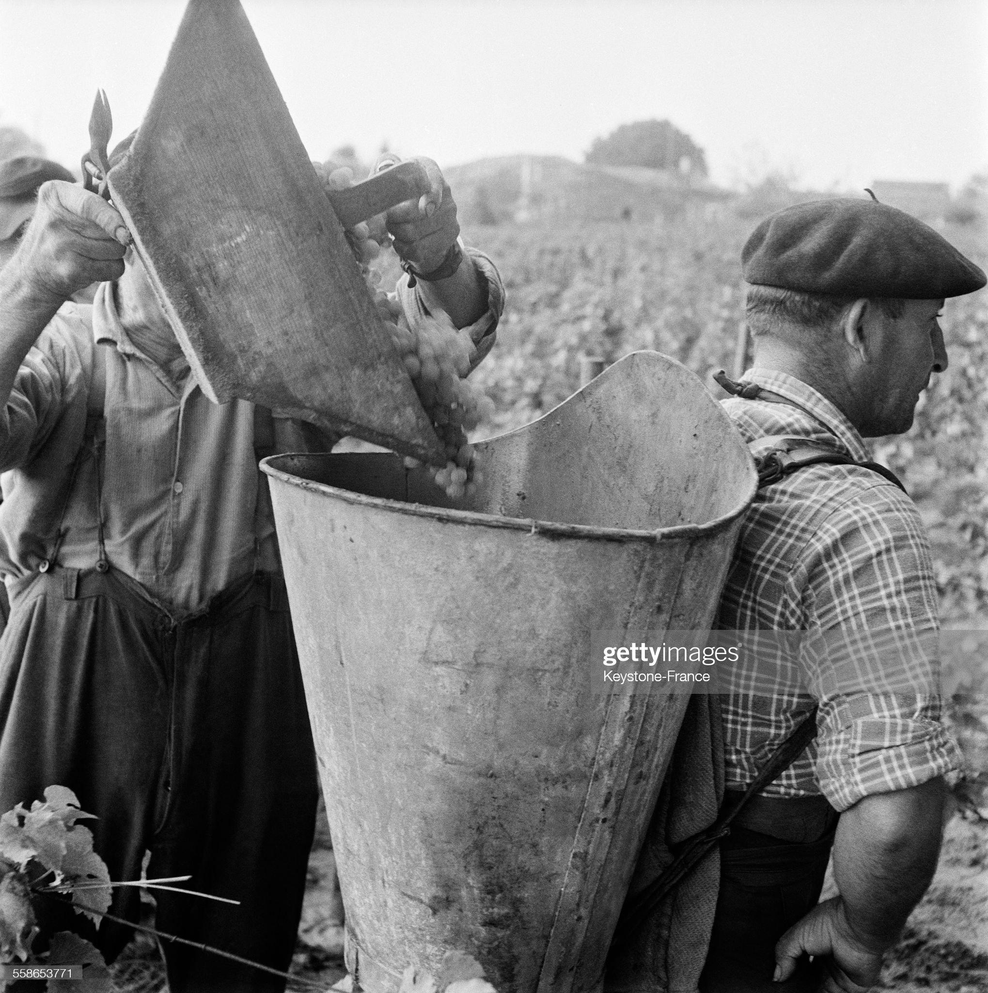 Antique French Hotte da vino dipinta di rosso della Haute-Garonne in vendita 8
