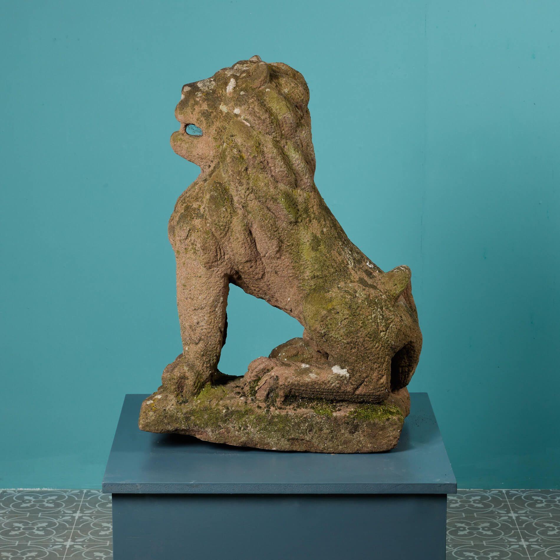 Estatua antigua de león de arenisca roja siglo XIX en venta