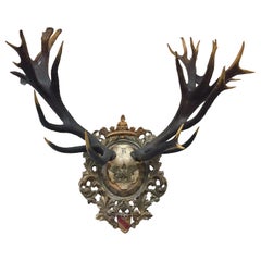 Antique Red Stag Trophy of The Grand Dukes of Baden on Ornate Gilt Plaque