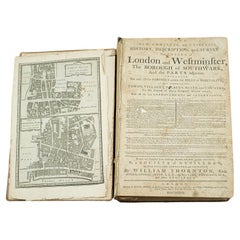 Antique Reference Book, Survey of London, English, Aged, Topographical, Georgian