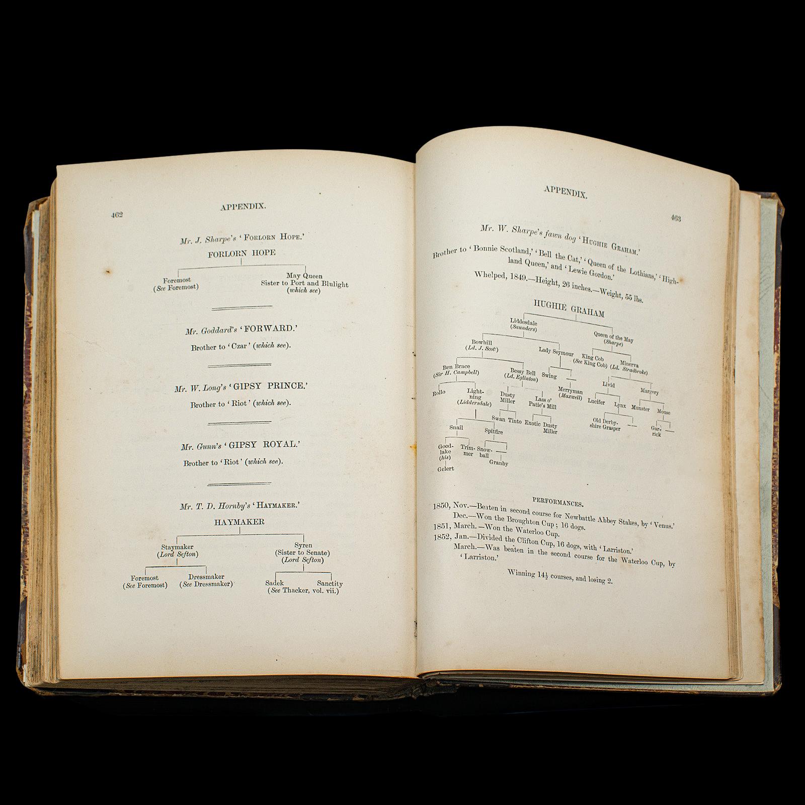 Livre de référence antique The Greyhound, anglais, guide illustré, victorien en vente 3