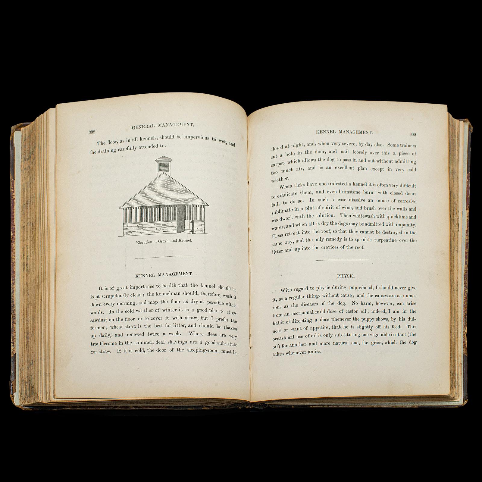 Livre de référence antique The Greyhound, anglais, guide illustré, victorien en vente 4