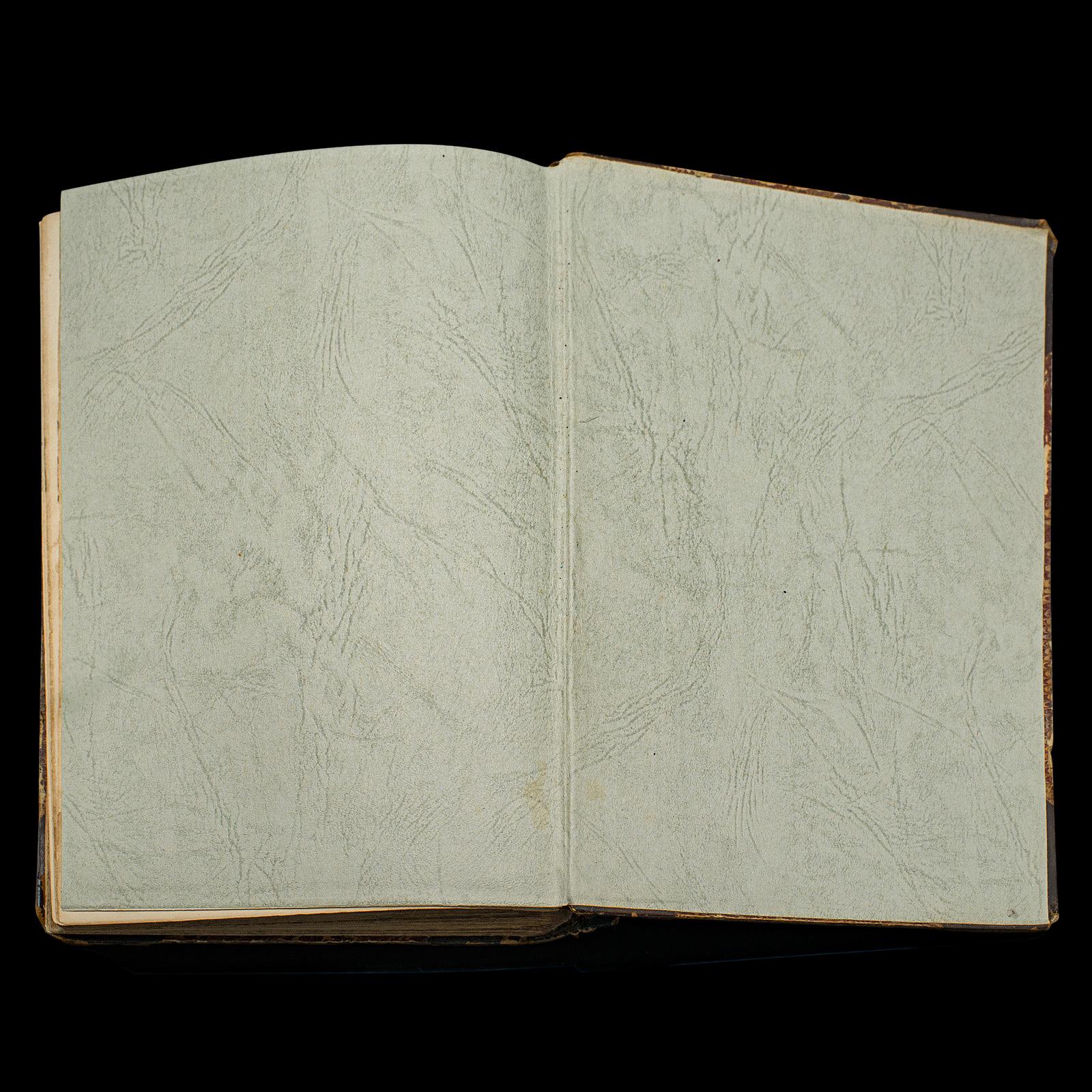 Livre de référence antique The Greyhound, anglais, guide illustré, victorien en vente 5