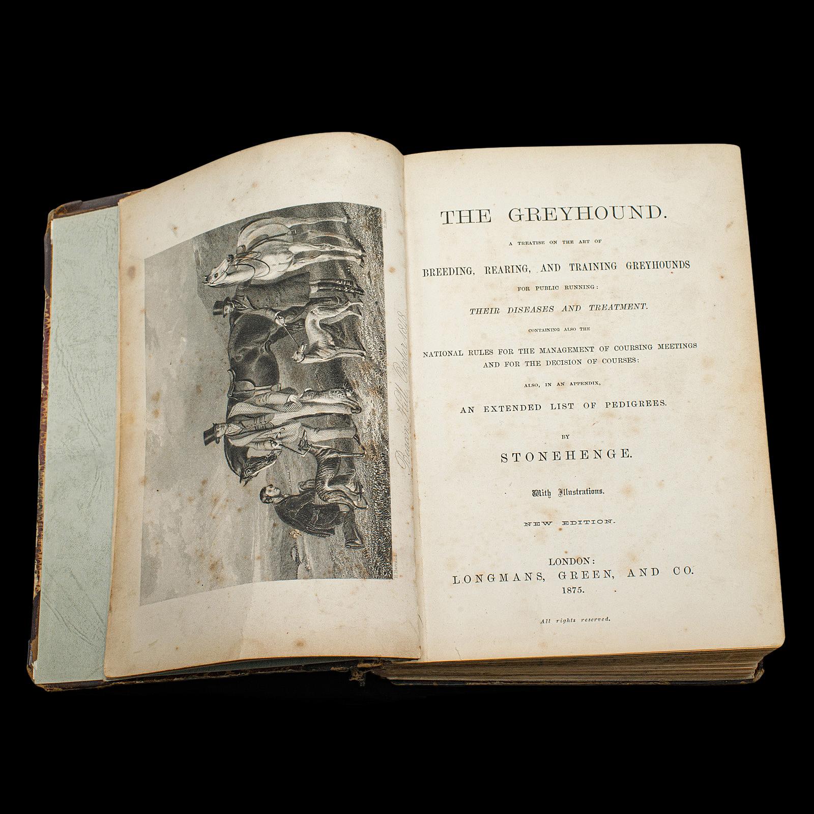 Antikes Referenzbuch, The Greyhound, englisch, illustrierter Leitfaden, viktorianisch (Viktorianisch) im Angebot