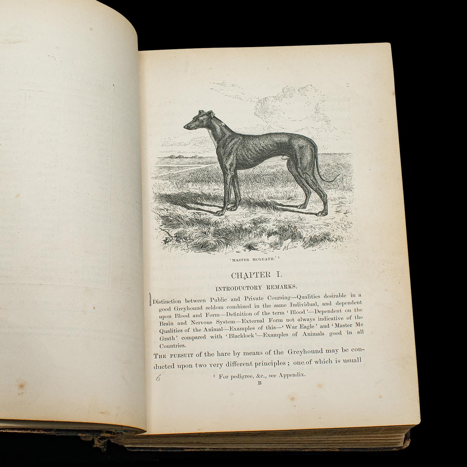 19th Century Antique Reference Book, The Greyhound, English, Illustrated Guide, Victorian For Sale