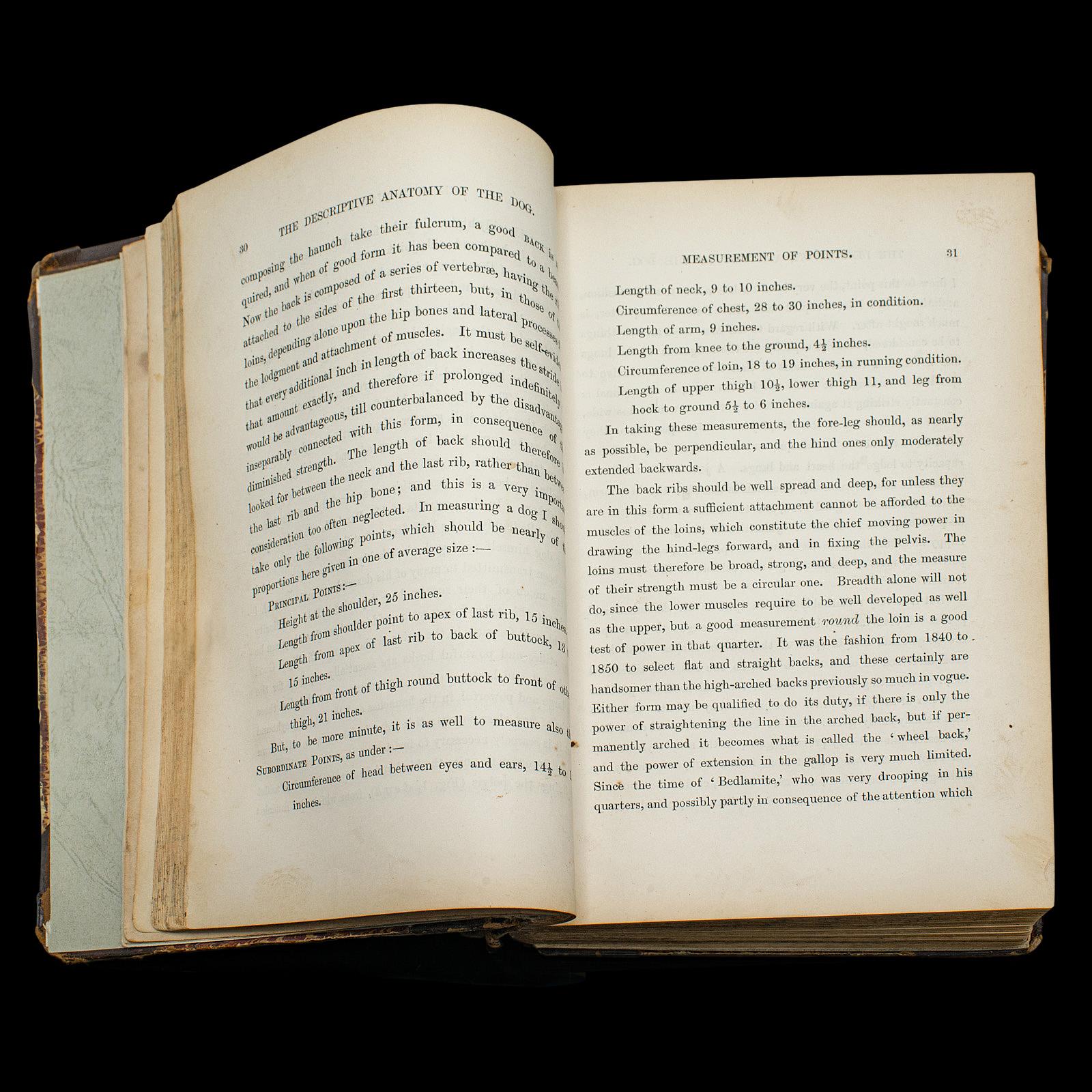 XIXe siècle Livre de référence antique The Greyhound, anglais, guide illustré, victorien en vente