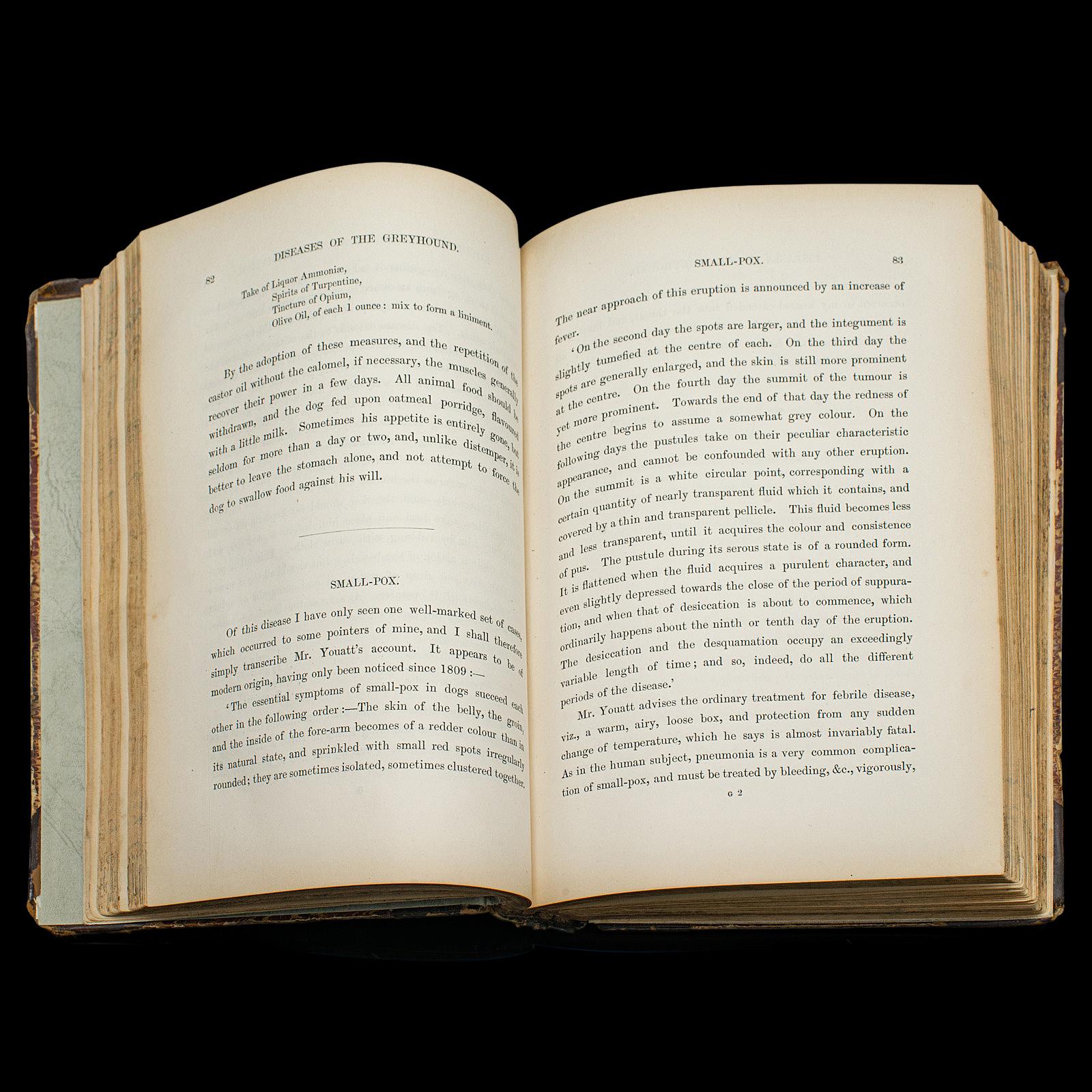 Antikes Referenzbuch, The Greyhound, englisch, illustrierter Leitfaden, viktorianisch (Papier) im Angebot
