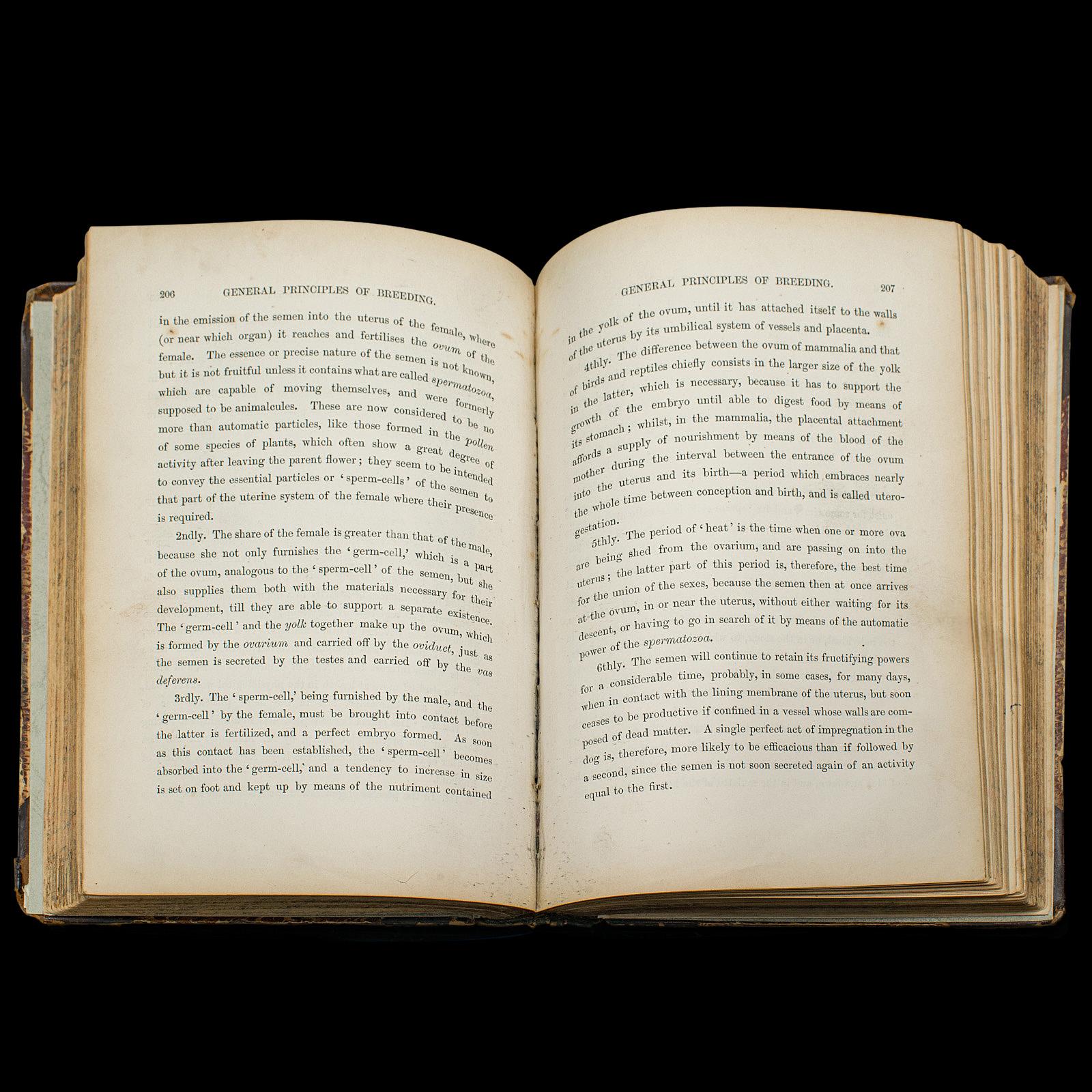 Livre de référence antique The Greyhound, anglais, guide illustré, victorien en vente 1