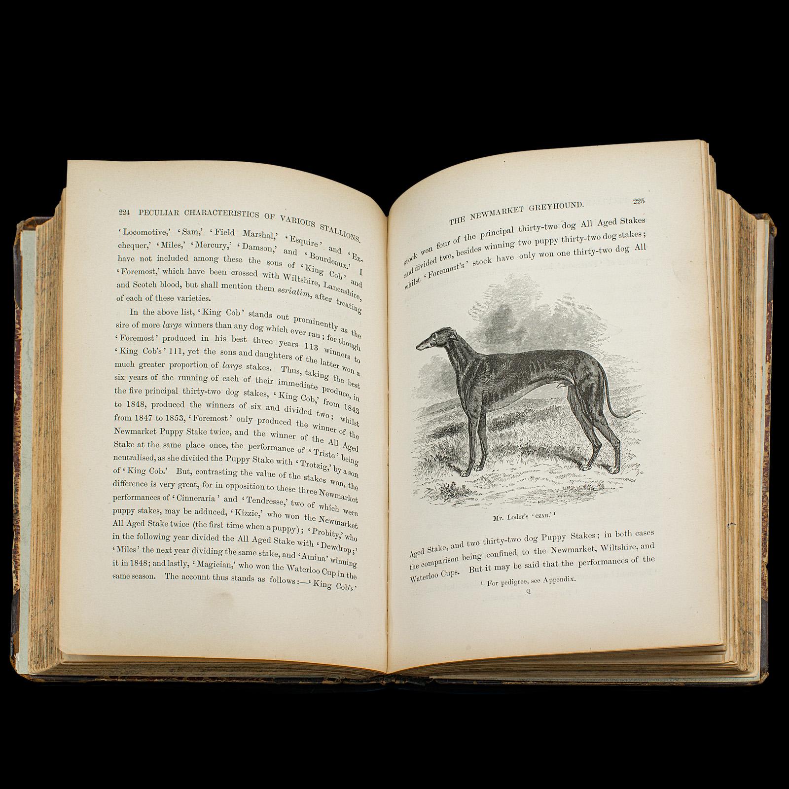 Antikes Referenzbuch, The Greyhound, englisch, illustrierter Leitfaden, viktorianisch im Angebot 2