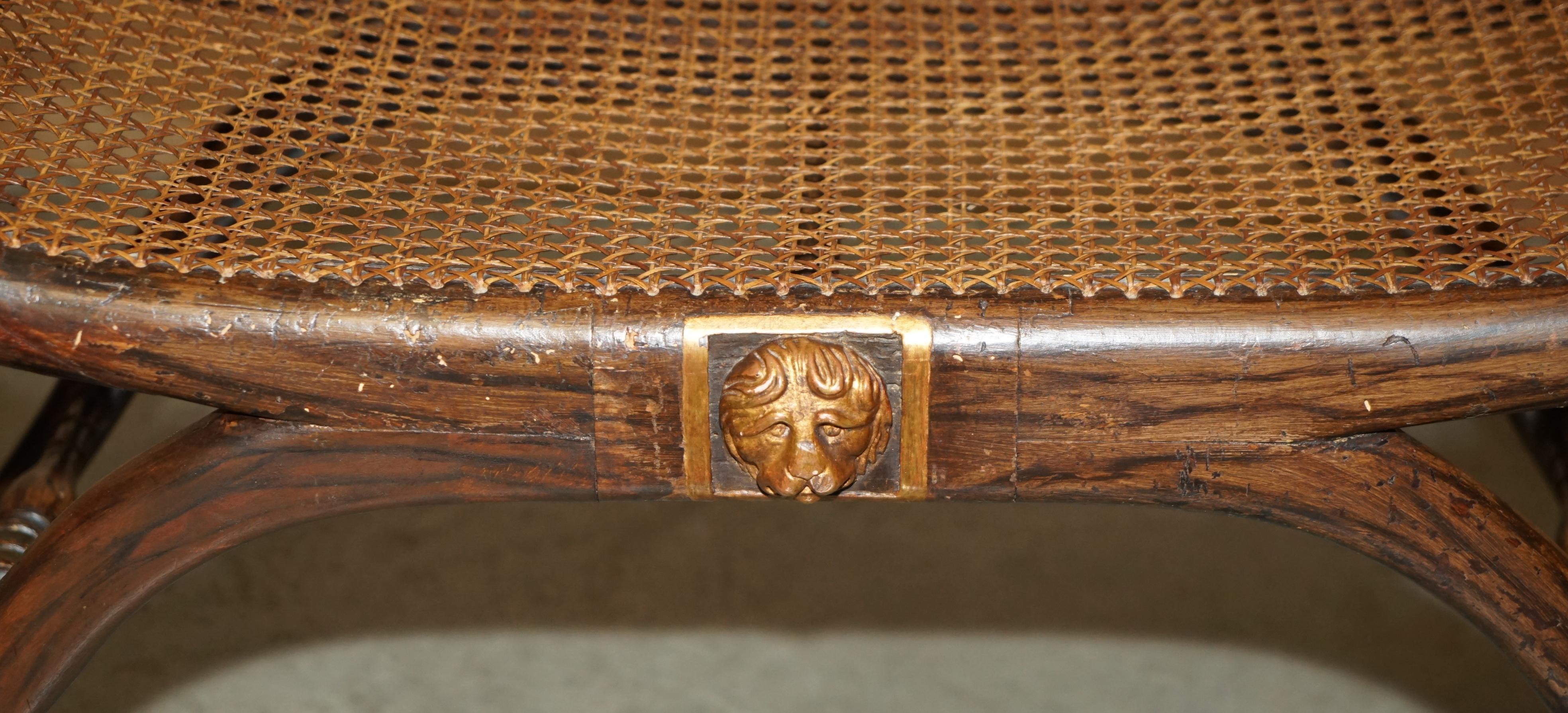 ANTIQUE REGENCY 1810 GRAINED HARDWOOD EBONIZED PARCEL-GILT & CANED WiNDOW BENCH 10