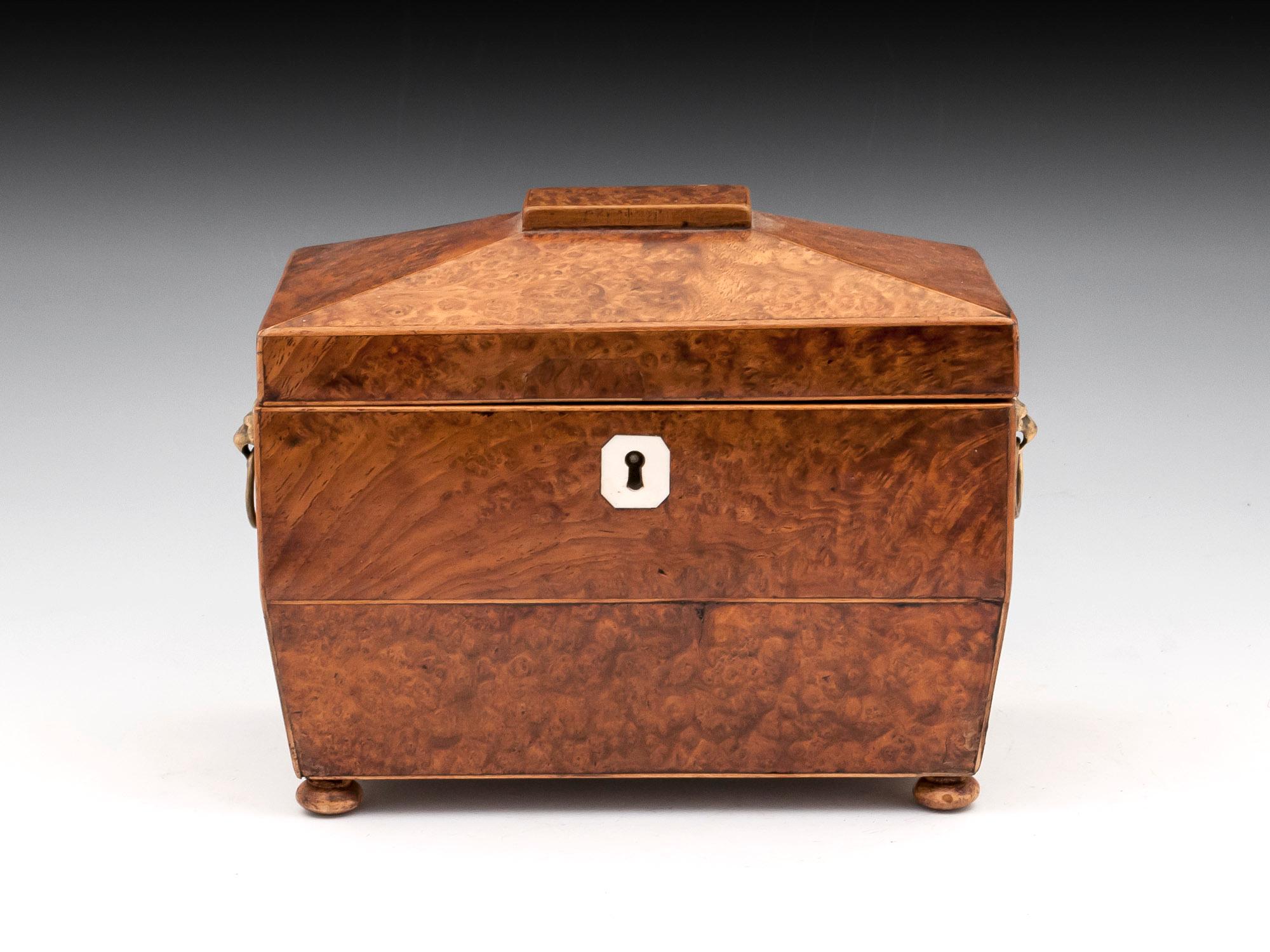 Amboyna sarcophagus tea caddy with bone escutcheon and brass lions head handles, standing on four turned wooden feet.

The interior contains two lidded compartments with bone handles.