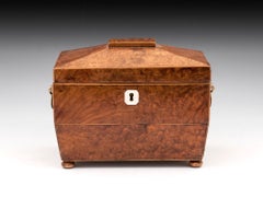 Antique Regency Amboyna Tea Caddy 19th Century