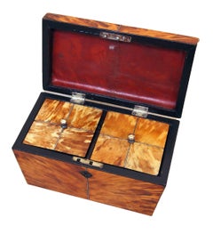 Antique Regency Blonde Tortoiseshell Tea Caddy