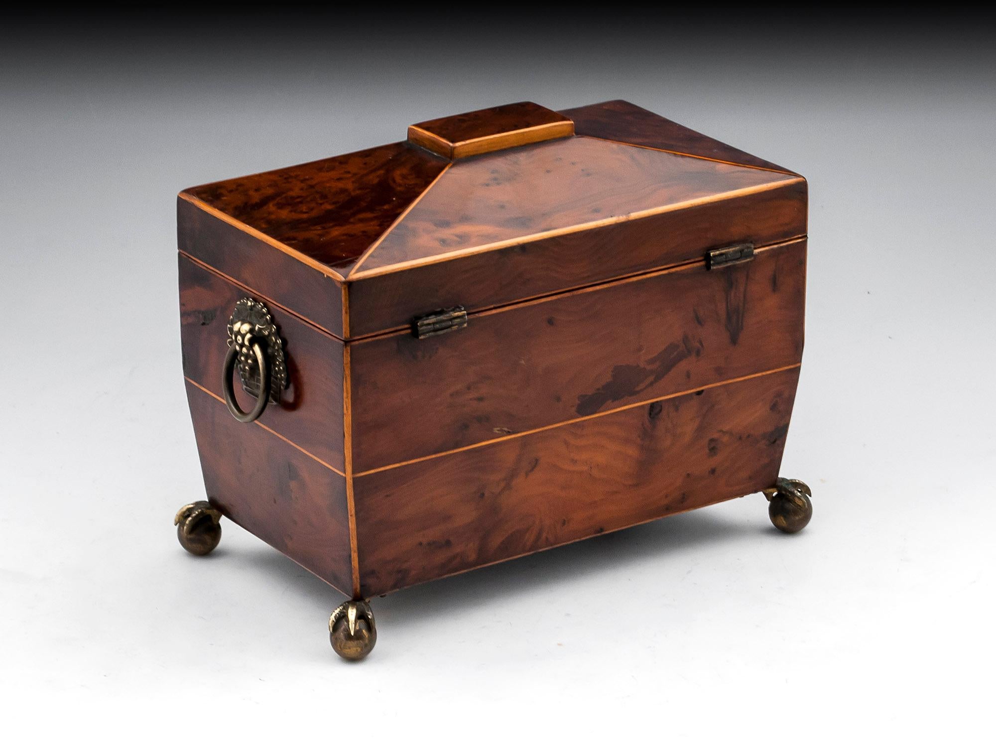 Antique Regency Burr Yew Brass Bone Tea Caddy by H.Spencer London 19th Century For Sale 1