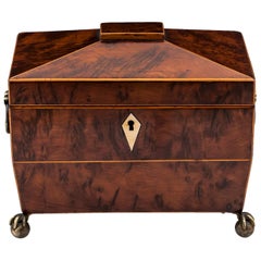 Used Regency Burr Yew Brass Bone Tea Caddy by H.Spencer London 19th Century