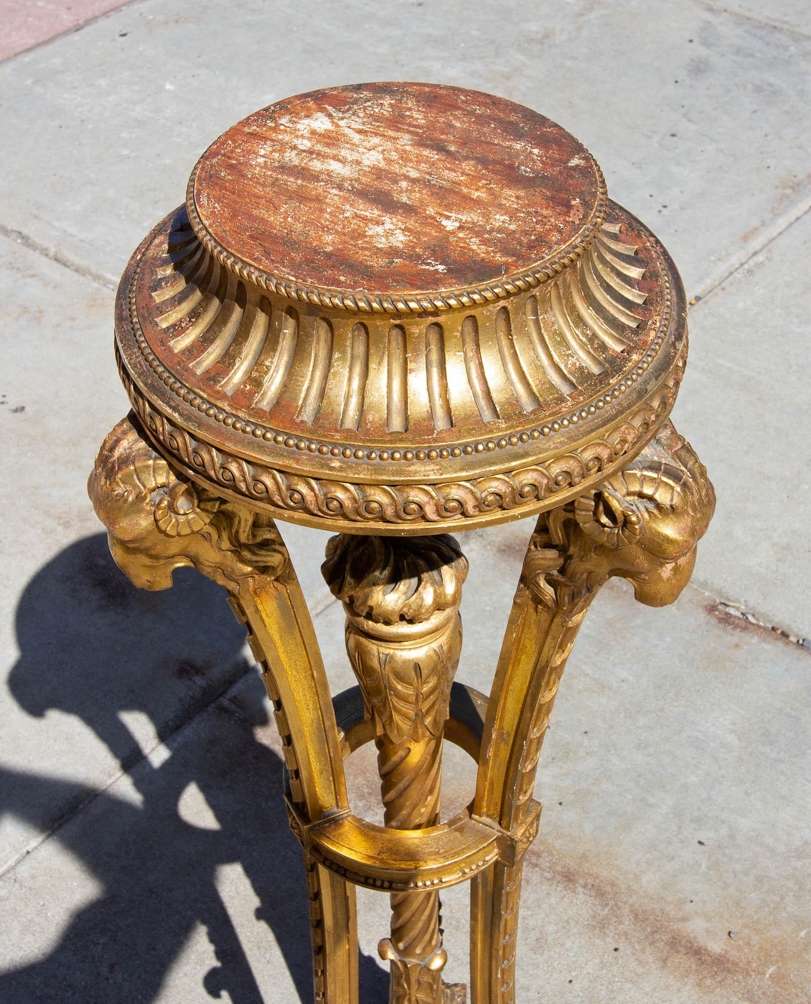 European Antique Regency Carved and Gilt Pedestal Stand
