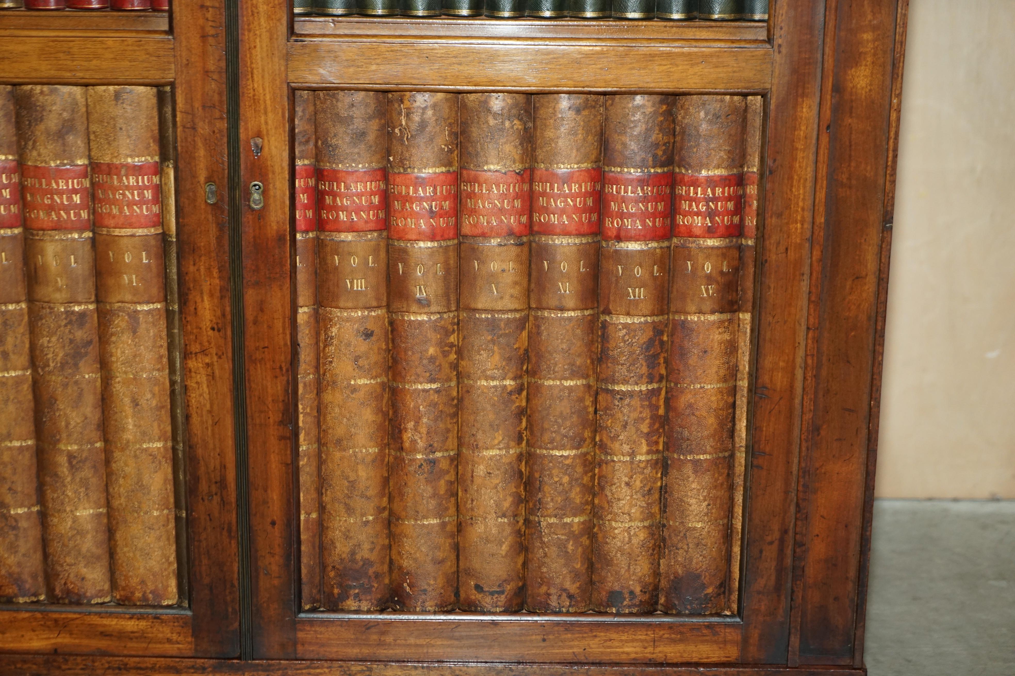 ANTIKE REGENCY, ca. 1810, FAUX BOOK CHIFFONIER, SIDEBOARD, BRASS GALLERY RAIL im Angebot 5