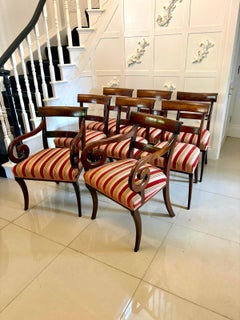 Antique Regency Mahogany Dining Chairs Set of Eight Including Two Carvers