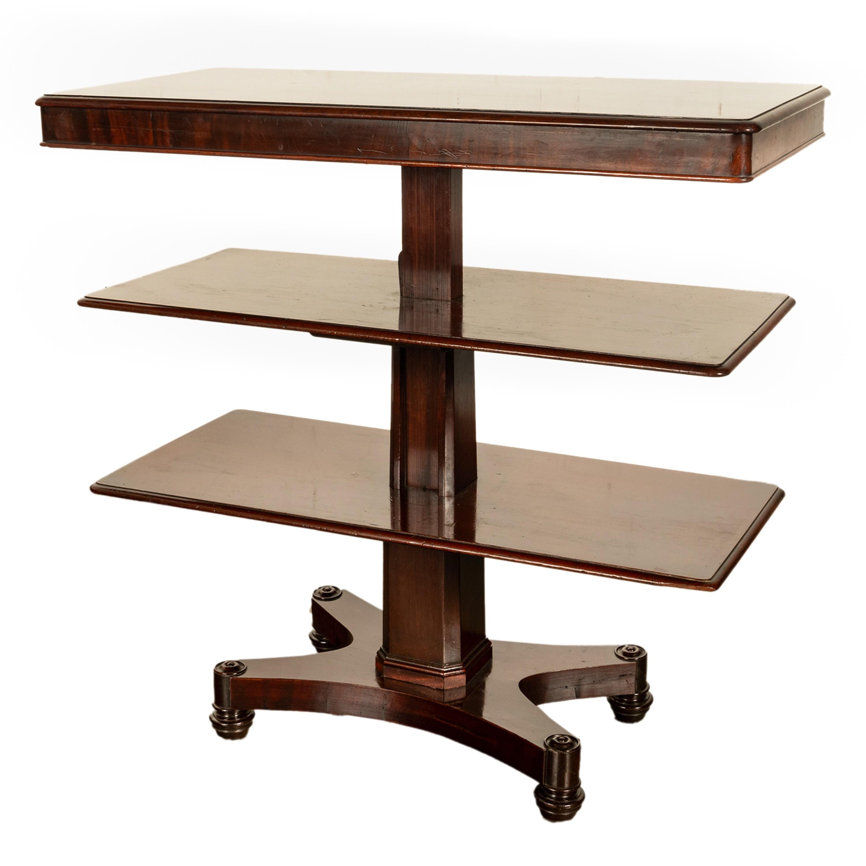 Antique Regency Mahogany Metamorphic 3 Tier Dumbwaiter Pedestal Side Table 1830 For Sale 6