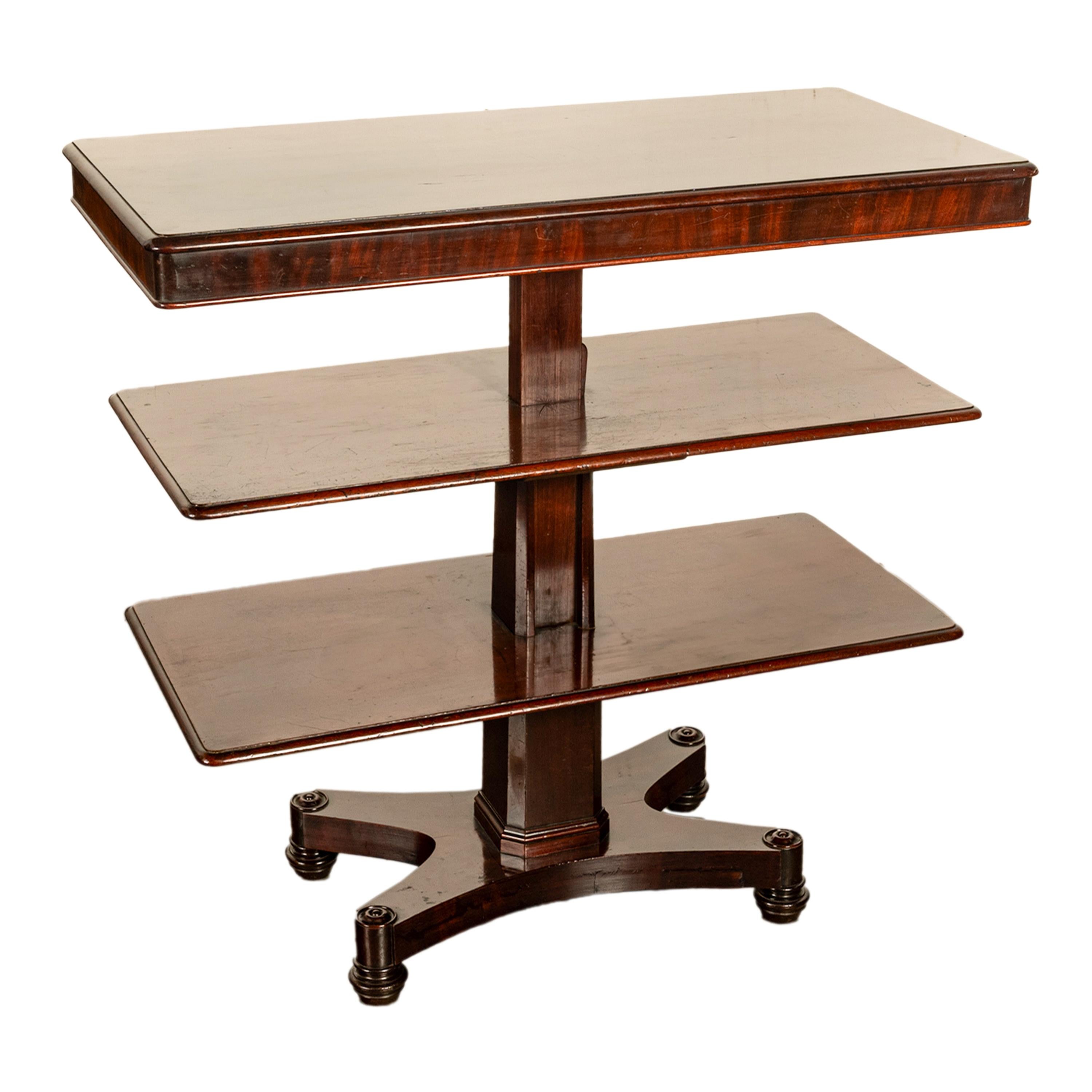 Antique Regency Mahogany Metamorphic 3 Tier Dumbwaiter Pedestal Side Table 1830 For Sale 8