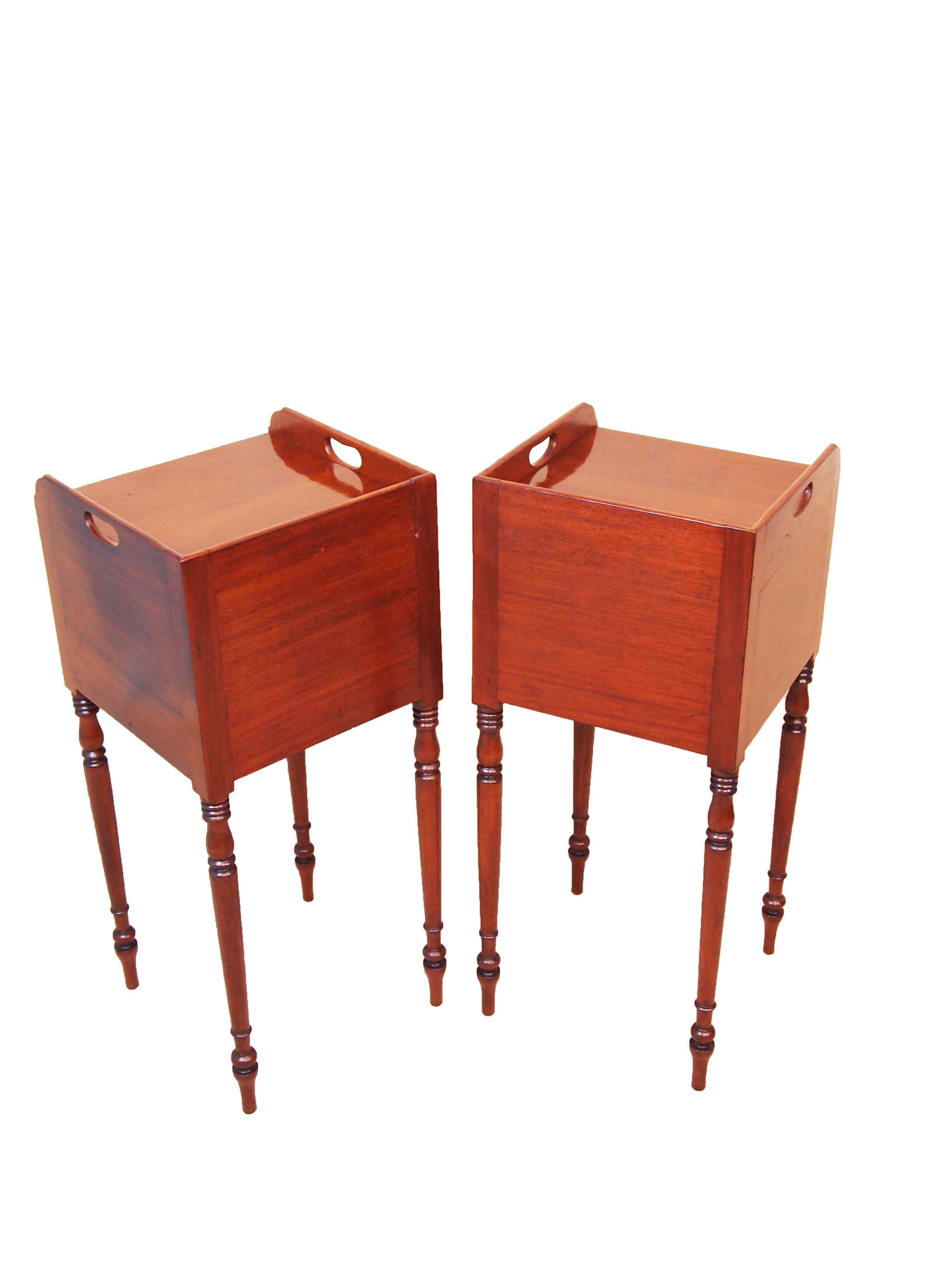 English Antique Regency Mahogany Pair of Bedside Cupboards
