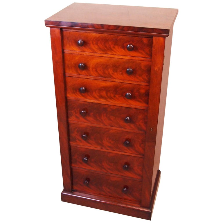 Antique Regency Mahogany Wellington Chest at 1stDibs