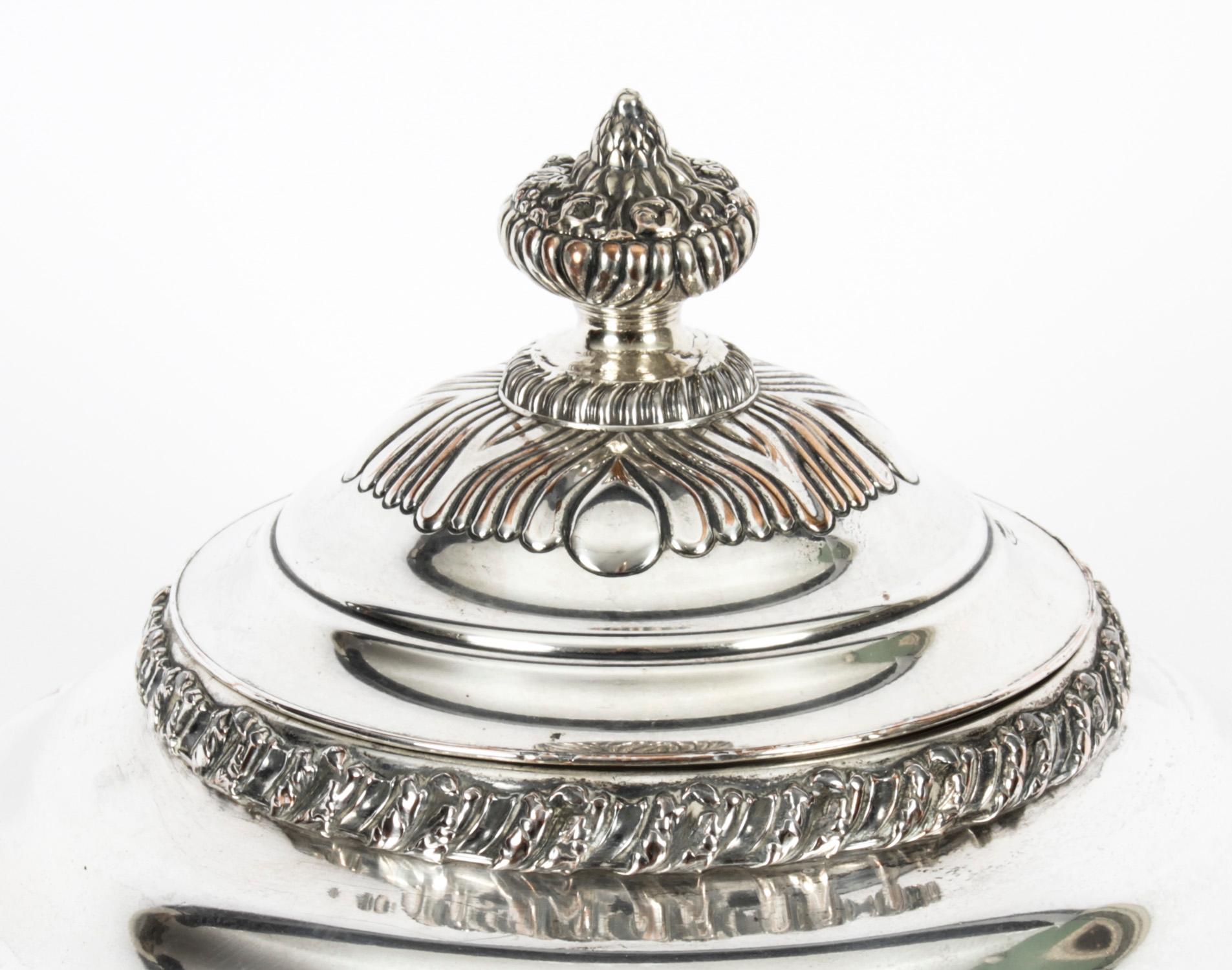 Antique Regency Old Sheffield Silver Plated Tea Urn Samovar 19th Century For Sale 8