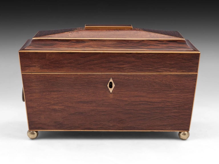 Regency Partridgewood Brass Tea Chest, 19th Century at 1stDibs