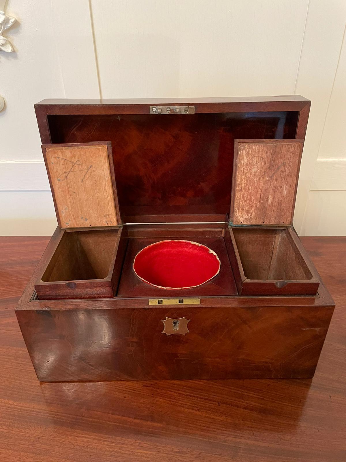 19th Century Antique Regency Quality Mahogany Tea Caddy