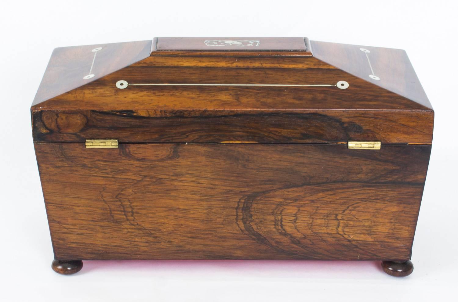 Antique Regency Rosewood and Mother-of-Pearl Inlaid Casket, 19th Century 6
