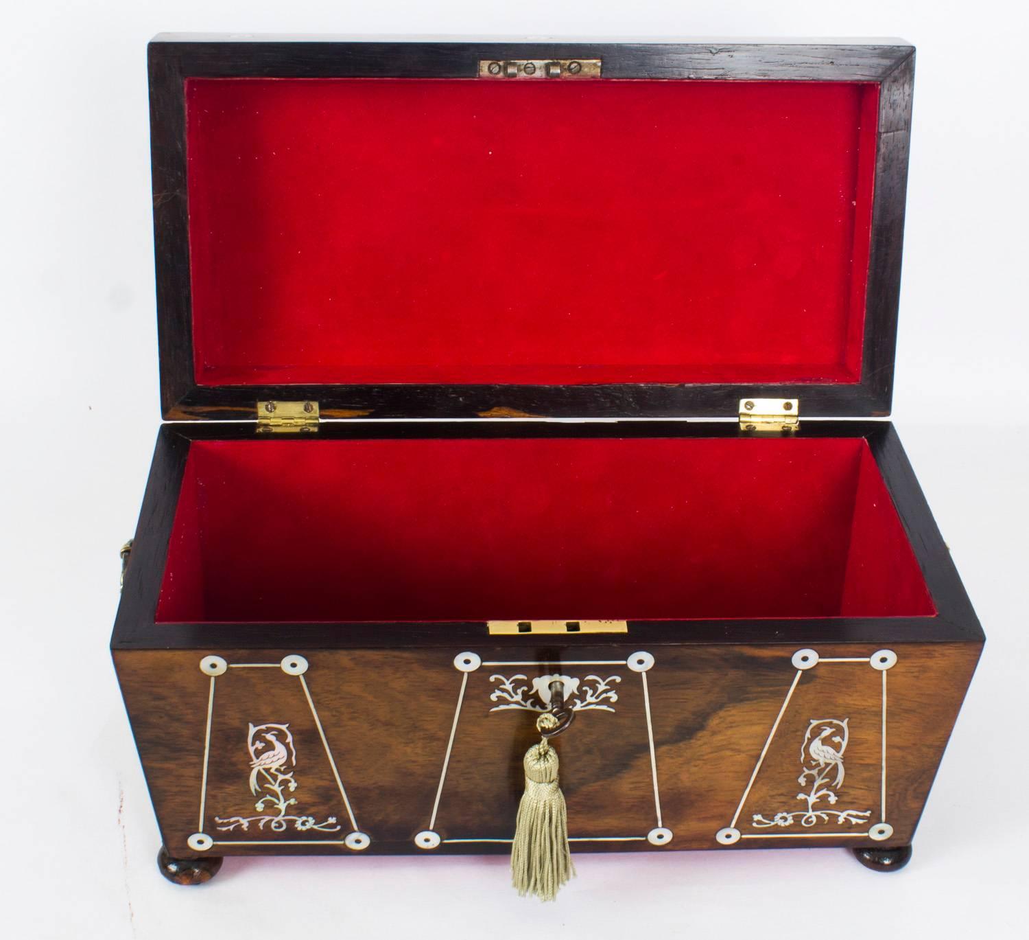 Antique Regency Rosewood and Mother-of-Pearl Inlaid Casket, 19th Century 8