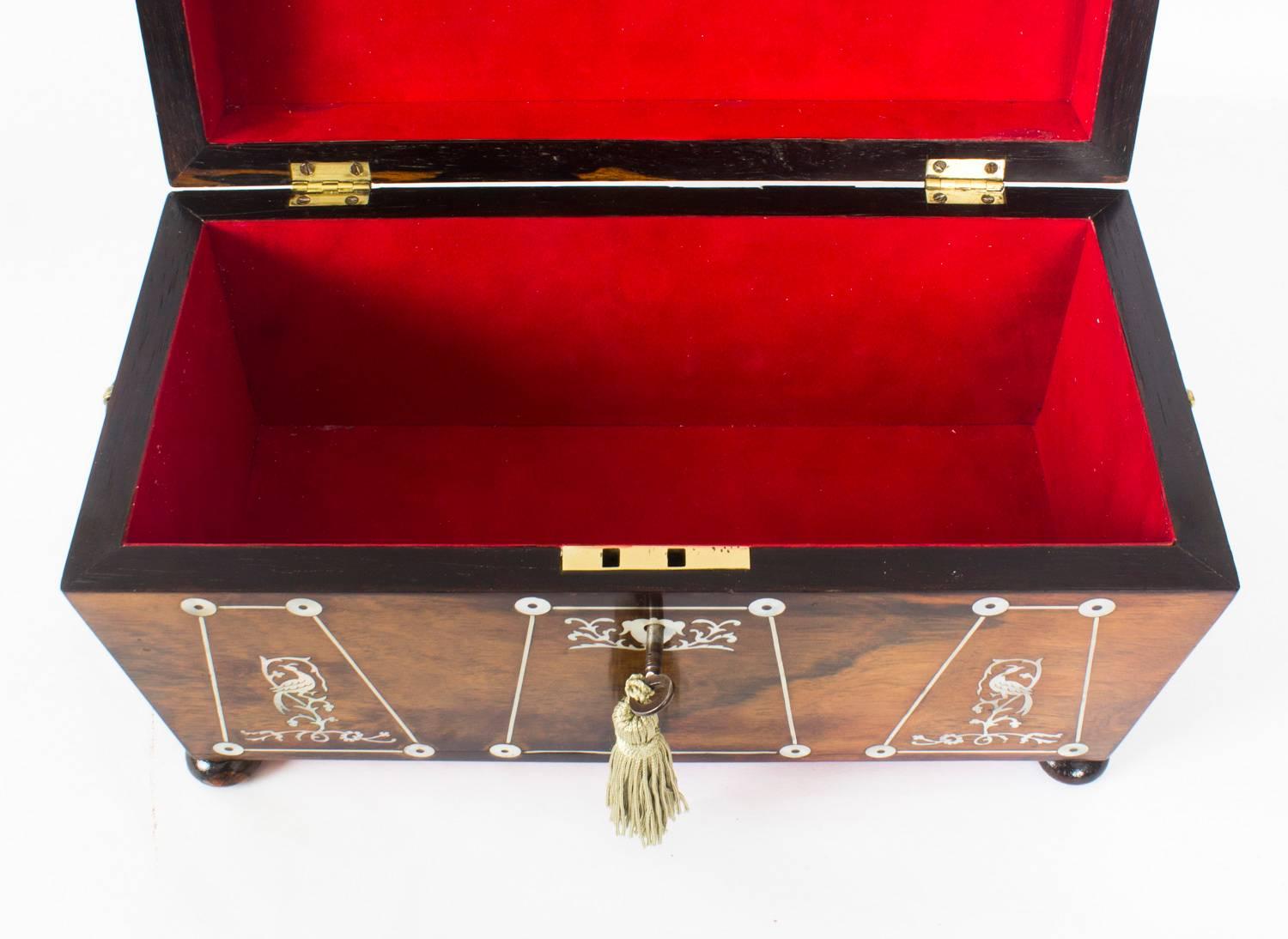 Antique Regency Rosewood and Mother-of-Pearl Inlaid Casket, 19th Century 9