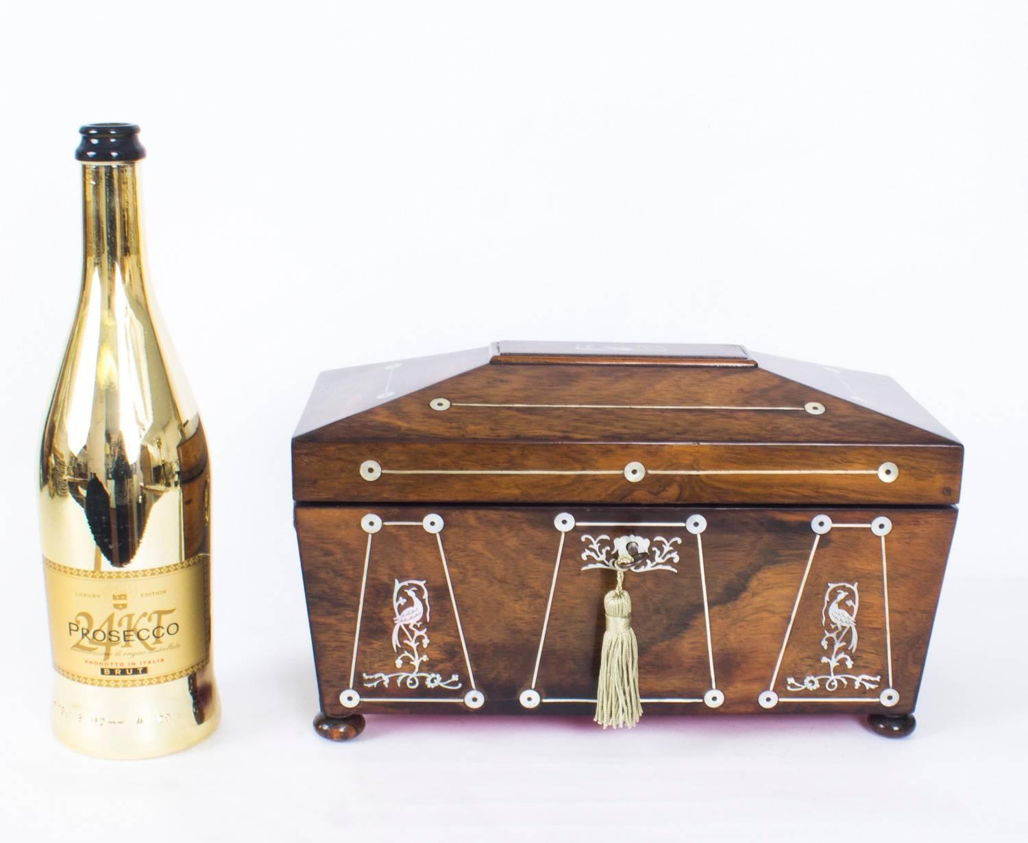 Antique Regency Rosewood and Mother-of-Pearl Inlaid Casket, 19th Century 10