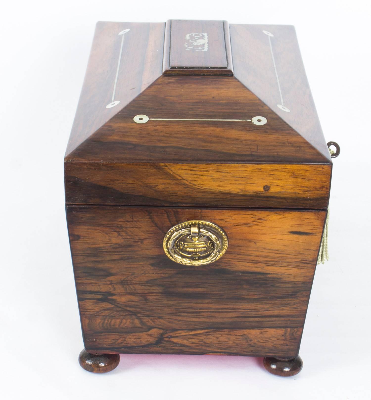 Antique Regency Rosewood and Mother-of-Pearl Inlaid Casket, 19th Century 4