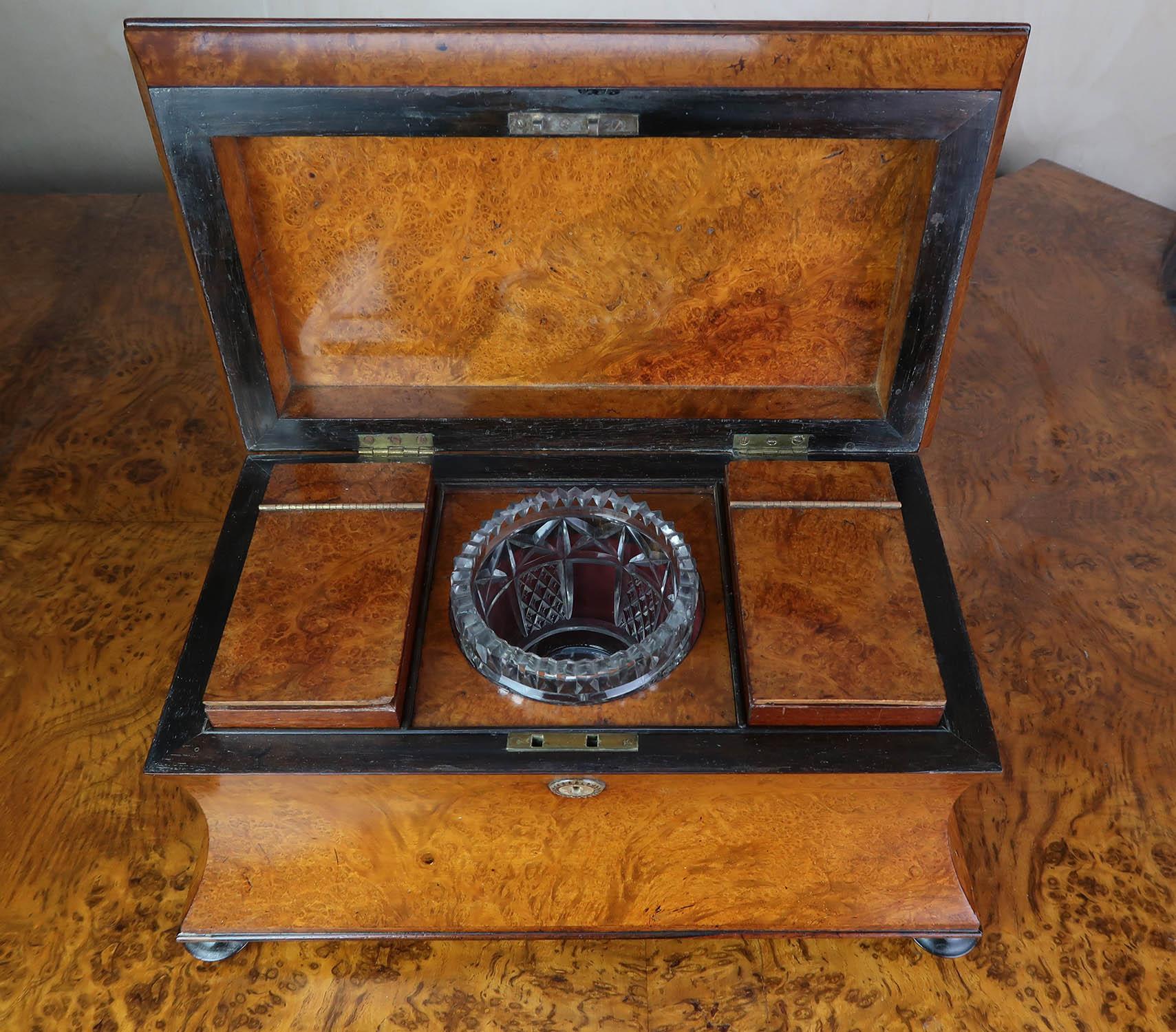 Antique Regency Sarcophagus Shaped Tea Caddy. English C.1820 4