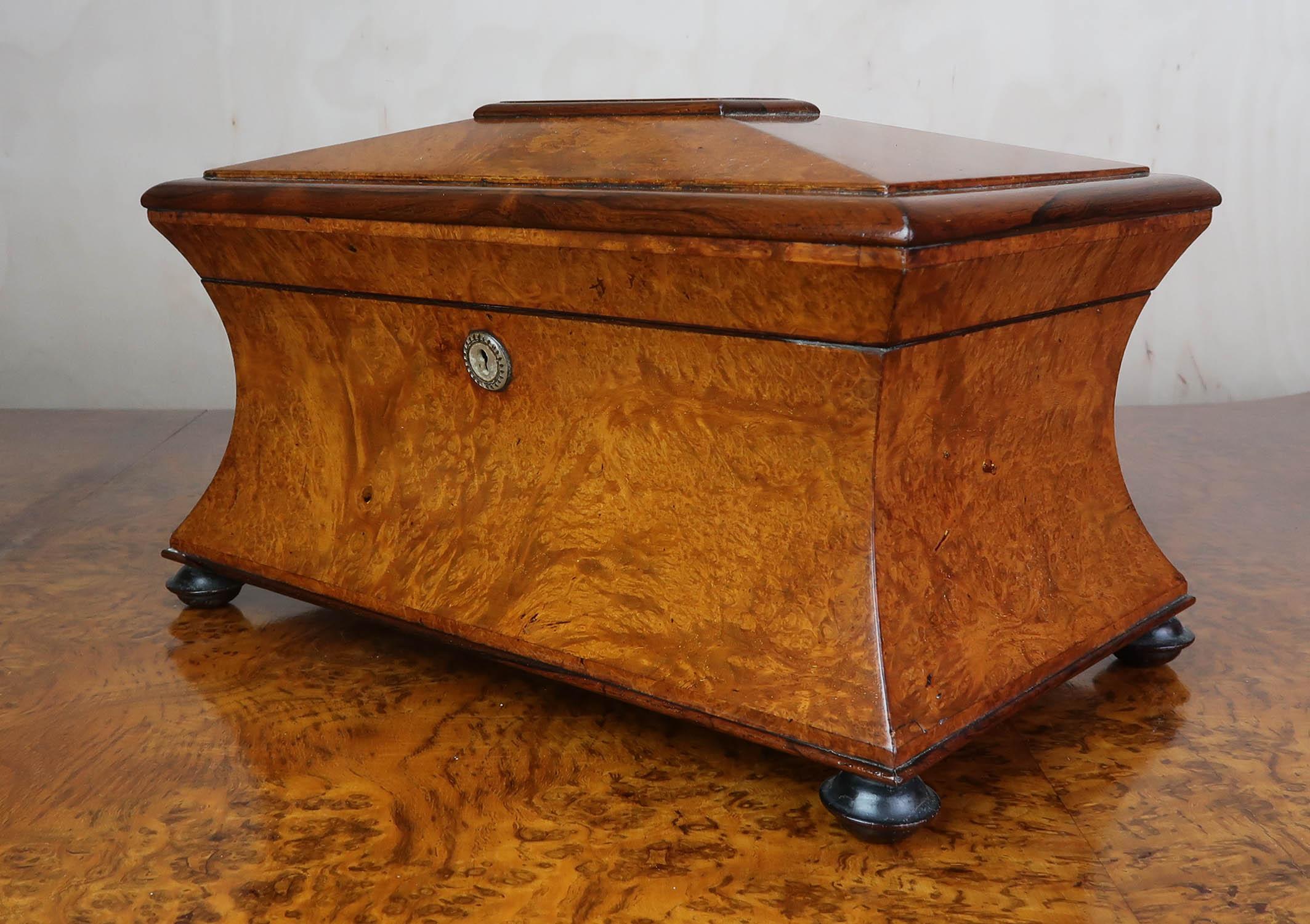 Hand-Crafted Antique Regency Sarcophagus Shaped Tea Caddy. English C.1820