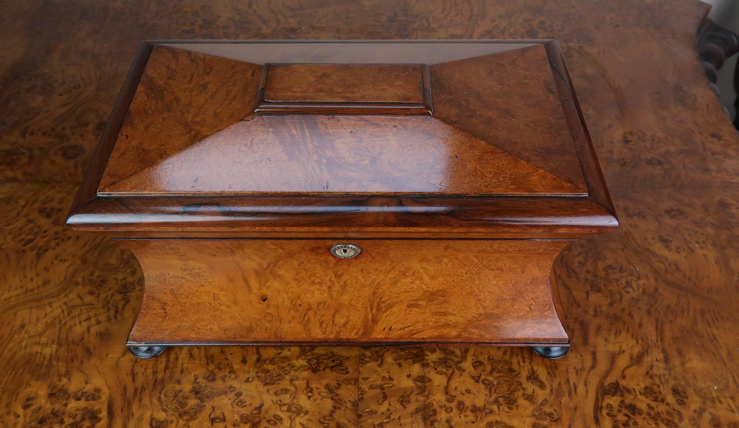 Antique Regency Sarcophagus Shaped Tea Caddy. English C.1820 In Good Condition In St Annes, Lancashire
