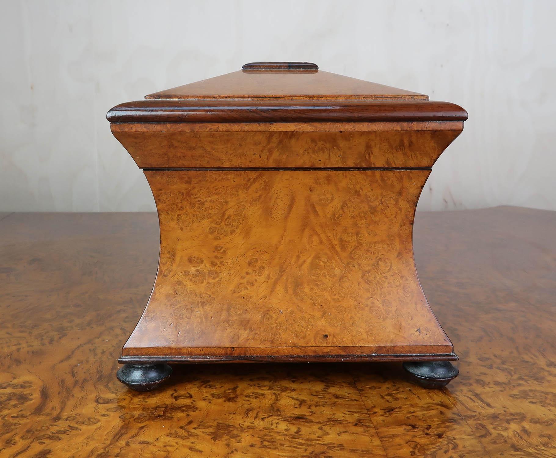 Antique Regency Sarcophagus Shaped Tea Caddy. English C.1820 1