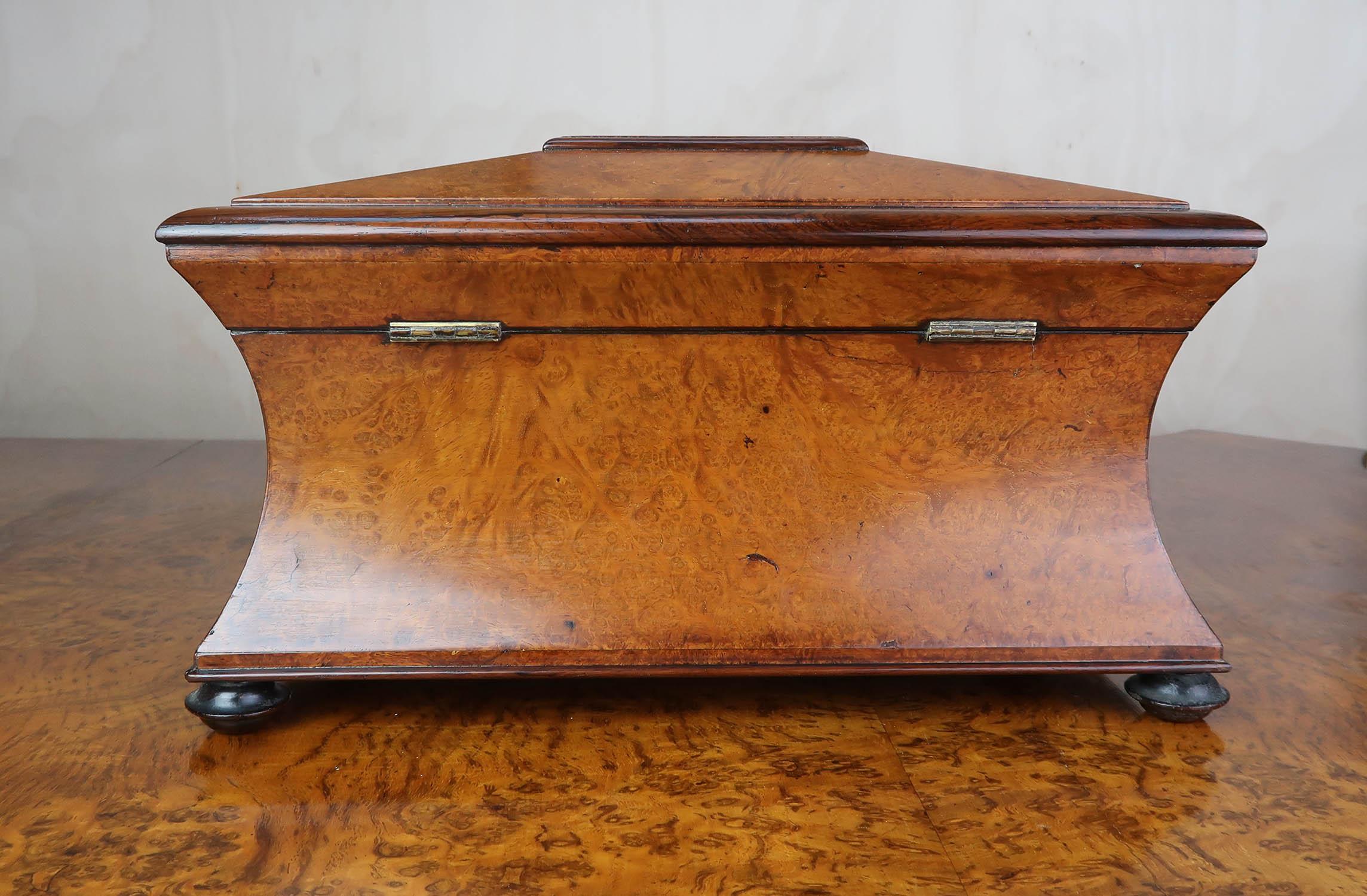 Antique Regency Sarcophagus Shaped Tea Caddy. English C.1820 2